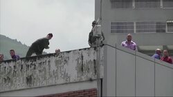 Clashes underway during national strike in Venezuela Instructional Video