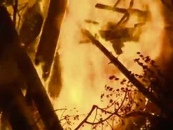 Bonfire Stock Footage