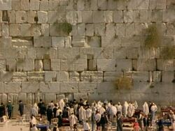 WS, HA, large group of men praying facing Wailing Wall, Jerusalem, Israel Stock Footage