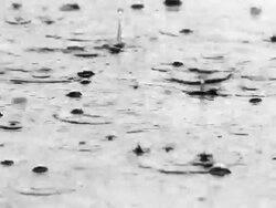rain Stock Footage