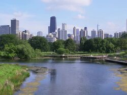 WS Chicago skyline with park and pond Stock Footage