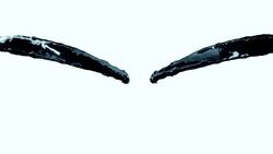 Two streams of a black liquid collide and splash in front of a white background. Stock Footage