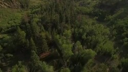 Flying over forrest tilt up to reveal The Great Sand Dunes Stock Footage