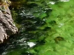 Mountain river with clean water Stock Footage