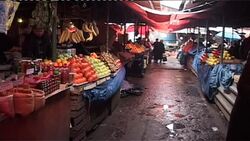 Georgian authorities distribute food vouchers News Clip