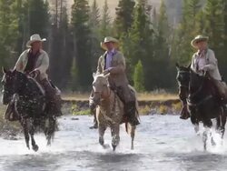 Cowboys and Cowgirl crossing river on horseback Stock Footage