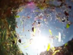 Sea pollution Stock Footage