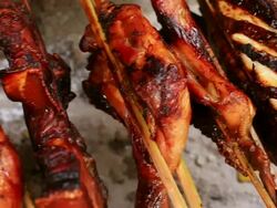 CU PAN Shot of meat and fish cooking on sticks / Kuang Si, Luang Prabang, Laos Stock Footage