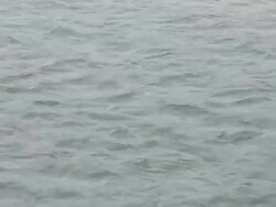 MS flowing river / Xam Neua, Laos Stock Footage