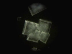 Salt crystals Stock Footage