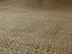 Hazelnut Stock Footage