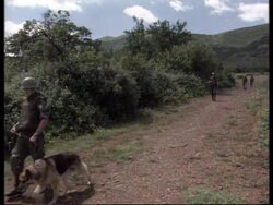 Albania/Kosovo - JNA controls border towns News Clip