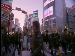 MS people on pedestrian crossing, Shibuya early evening, Tokyo, Japan Stock Footage