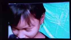 Children's rights organisation warns  against "epidemic" of online live paedophilia News Clip