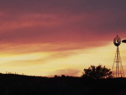 Silhouetted windmill and trees in front of a cloudy sky at sunset Stock Footage