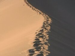 HD: Footsteps in sand Stock Footage