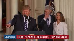 Trump: Gorsuch a Brilliant Mind and an Ideal Pick News Clip