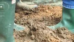 Build your own pizza oven News Clip