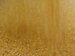  CU Corn being poured into truck / Chelsea, Michigan Stock Footage
