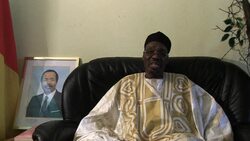 CLEAN : 27 Chinese and local hostages released in Cameroon: govt News Clip