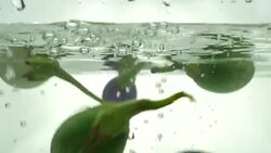 Mini eggplants drop in the water. Close up. Slow motion. Stock Footage