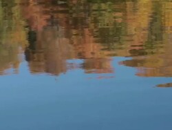 HD: Reflection Stock Footage