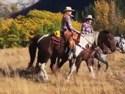 Cowboy and two cowgirls riding through the mountain foothills Stock Footage