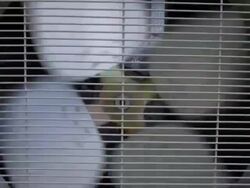 Fan of Air Conditioner Stock Footage