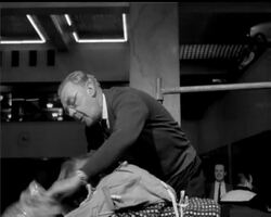 THE SAFETY SEEKERS News Clip