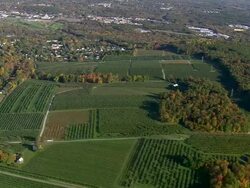 WS AERIAL TD View of field area in city / Connecticut, United States Stock Footage