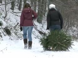 MS Two women walking through forest with christmas tree on sled / Saarburg, Rhineland-Palatinate, Germany Stock Footage