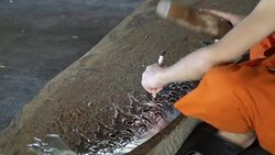 Monk Carving thai pattern Stock Footage