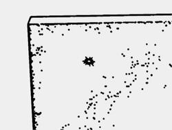 Bean-Hero Live (carelessness) Stock Footage