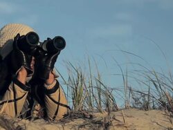 Woman on beach using binoculars Stock Footage