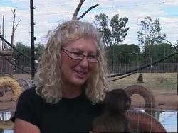 Animal conservation 2006 News Clip