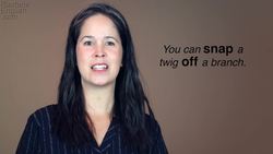 PHRASAL VERB SNAP Instructional Video