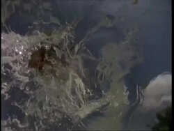 High speed - Kingfisher dives for fish from branch, viewed from below surface Stock Footage