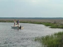 fly fishing Stock Footage