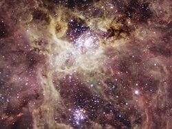 Tarantula nebula, optical image. Also known as 30 Doradus and NGC 2070, the Tarantula nebula is an emission nebula spanning nearly 1000 light years across. Stock Footage
