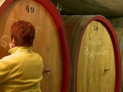 vignerons tasting wine / Nittel, Rhineland-Palatinate, Germany Stock Footage