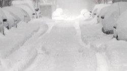 Writing Kids: Academic Essay Writing for Beginners  Instructional Video