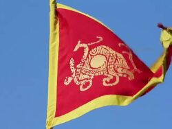 CU LS red chinese dragon flag/xian,shaanxi,China Stock Footage