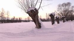 Cold snap in Poland News Clip