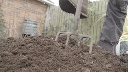Garden Fork Digging A Veggie Patch With Compost In Spring Stock Footage