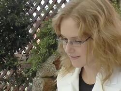 Business woman in a cafe Stock Footage