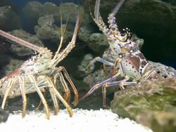 Communication 2 Stock Footage