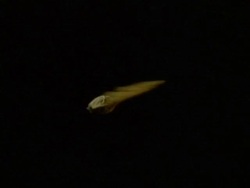 High Speed - CU Sycamore Seed spinning down through frame, black background Stock Footage