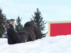 HD: Watching Message Board In The Forest Stock Footage