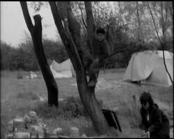 NO REST FOR THE CARAVAN News Clip