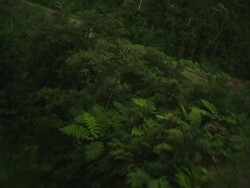 A dirt road winds around a lush canyon in a rainforest in Bolivia. Stock Footage